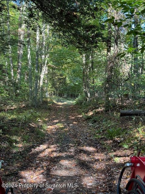 1736 Falls Road Clarks Summit, PA 18411 - Photo 24 of 26 a view of a forest with lots of trees
