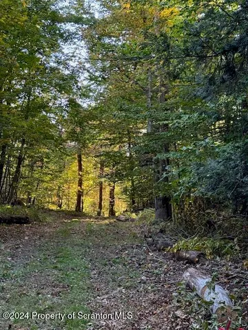 a black and white photo of a tennis court