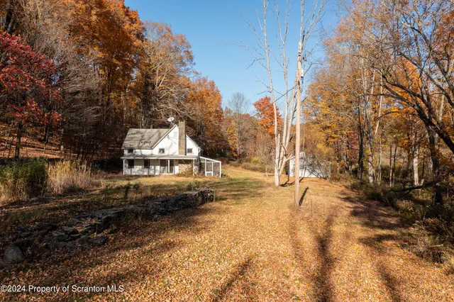 a view of a town with large trees