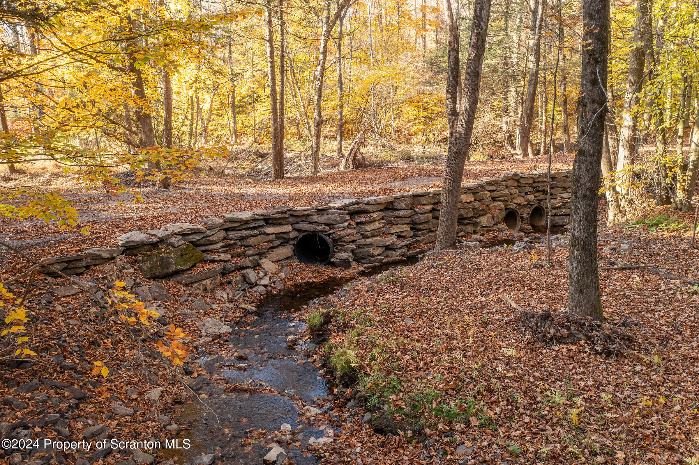 1736 Falls Road Clarks Summit, PA 18411 - Photo 10 of 26 a view of a yard with trees
