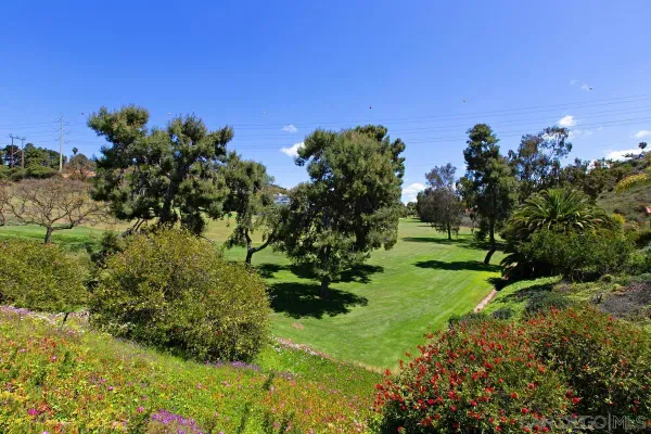 a view of a garden