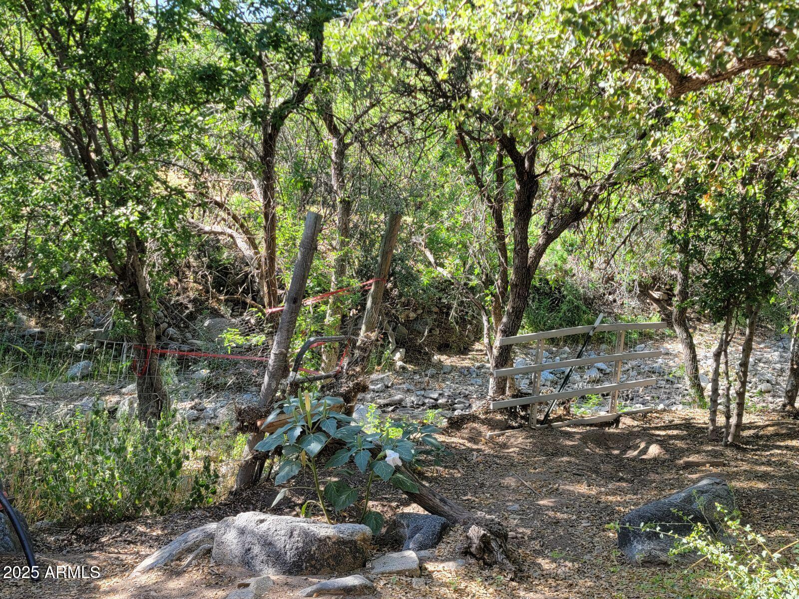 9383 Kellner Canyon Road Globe, AZ 85501 - Photo 30 of 32 a view of forest