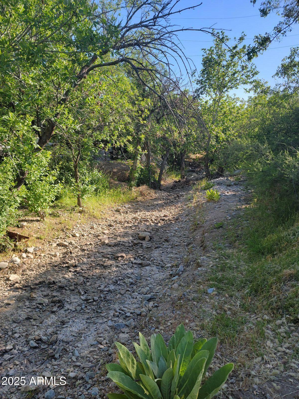 9383 Kellner Canyon Road Globe, AZ 85501 - Photo 32 of 32 a backyard of a house with lots of green space