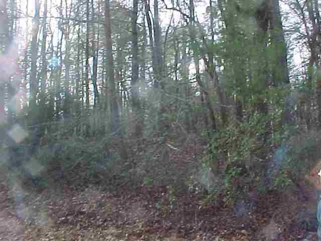 319 Land's Bridge Rd Mountain Rest Mountain Rest, SC 29664 - Photo 4 of 8 Gallery Image 4