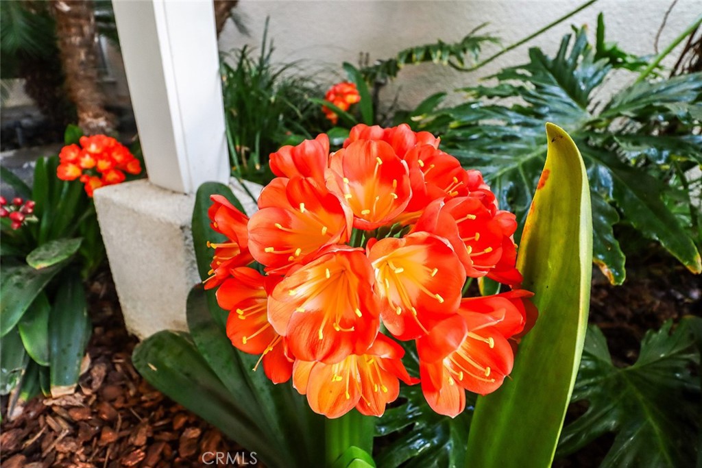 4575 De Celis Place Encino, CA 91436 - Photo 7 of 63