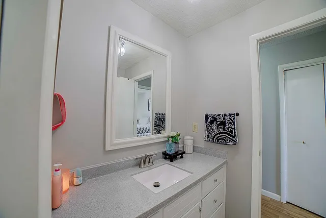 a bathroom with a sink vanity and a mirror