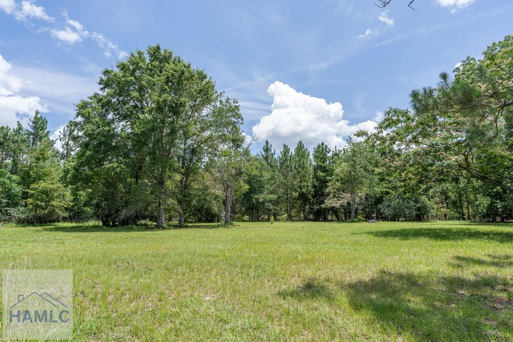 0 Oriole Road Odum, GA 31555 - Photo 13 of 24 Gallery Image 13