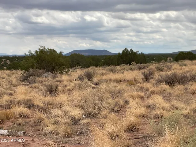 $65,000 | Lot 4 Ranch Of The White Mountains, Unit 4, Snowflake, AZ 85937