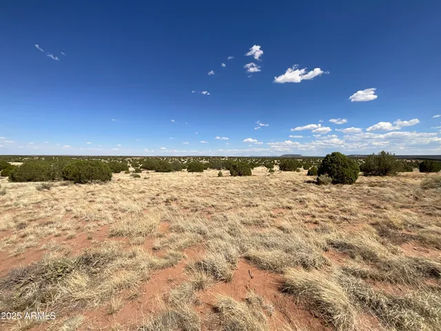 $65,000 | Lot 4 Ranch Of The White Mountains, Unit 4, Snowflake, AZ 85937