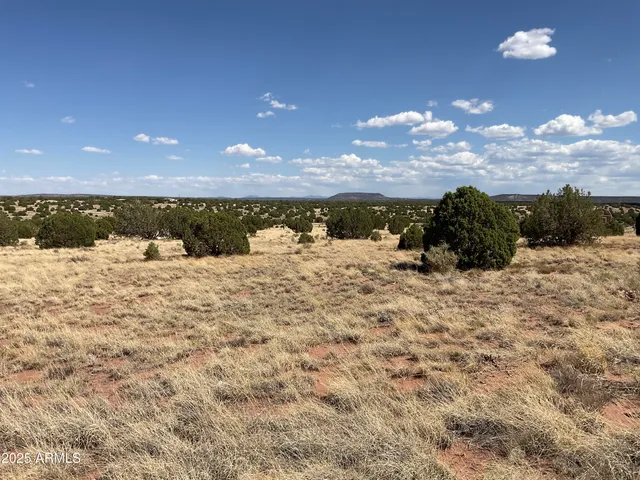 $65,000 | Lot 4 Ranch Of The White Mountains, Unit 4, Snowflake, AZ 85937