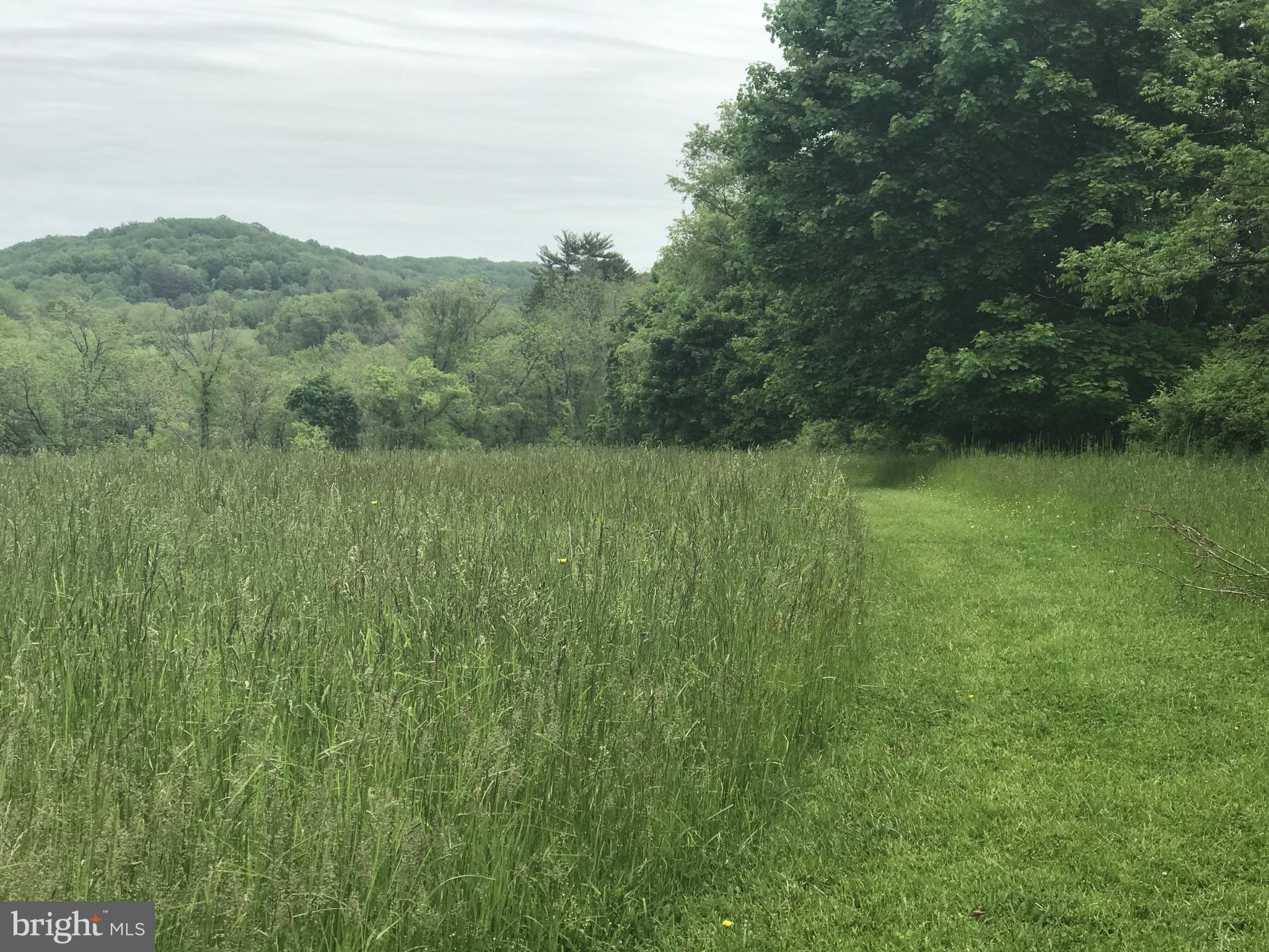 800 Fairville Road Chadds Ford, PA 19317 - Photo 5 of 7 a view of a lush green space with sea