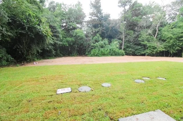 a view of an ocean and a mountain