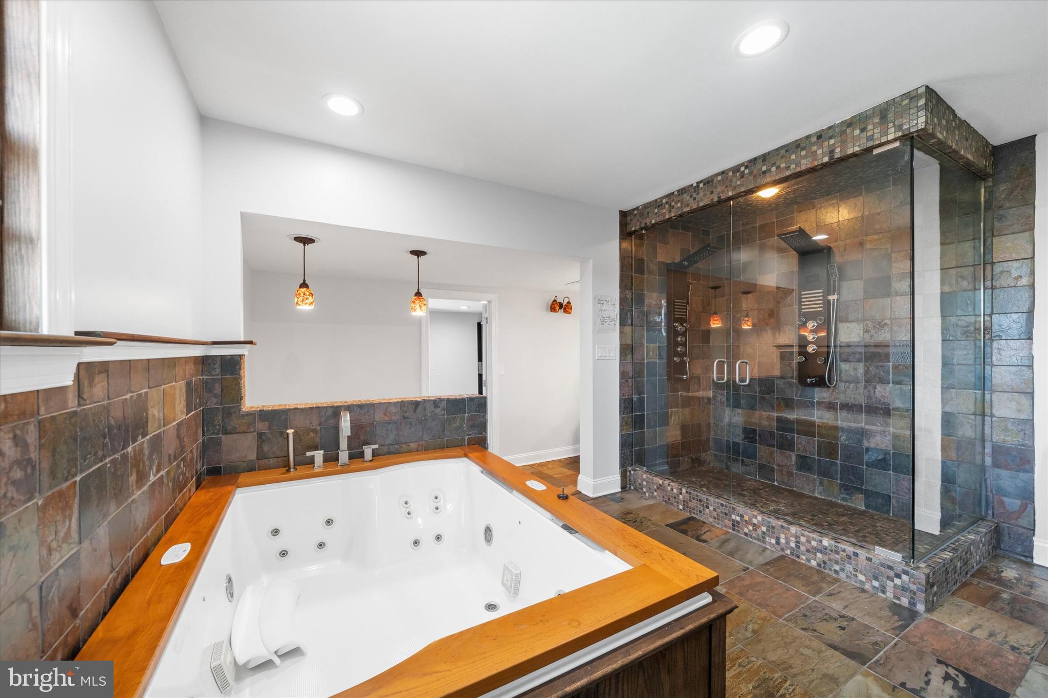 2159 McCoy Road Bear, DE 19701 - Photo 47 of 110 a bathroom with a bathtub and a shower