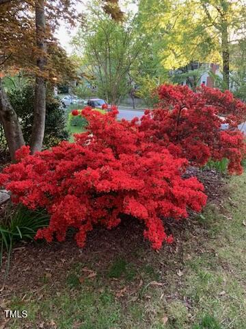 210 Woodburn Road Raleigh, NC 27605 - Photo 39 of 54 7F579814-F40B-40C7-A3A9-07E8903ED3DF