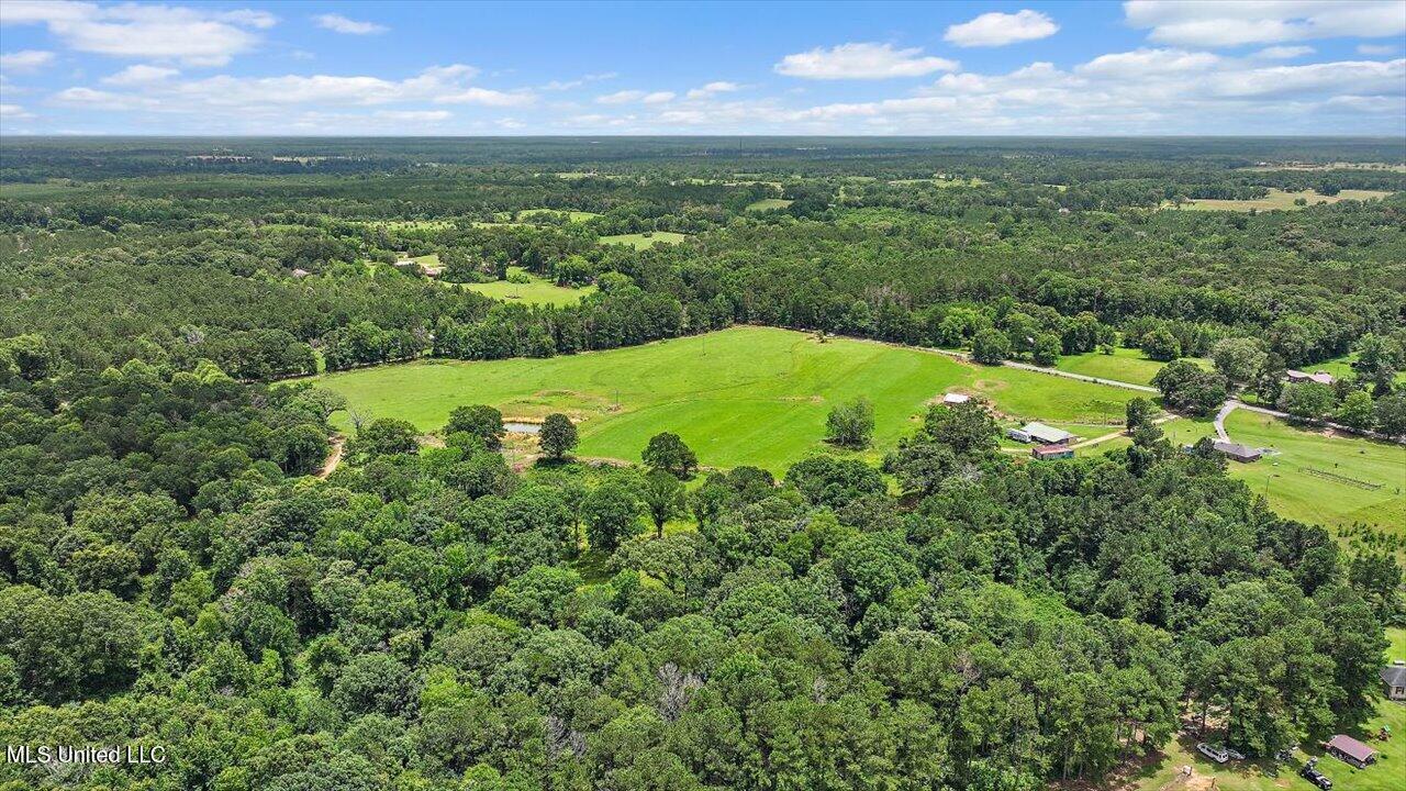 James Boyakin Barnett Road Magee, MS 39111 - Photo 4 of 39 04-James Boyakin Barnett Rd