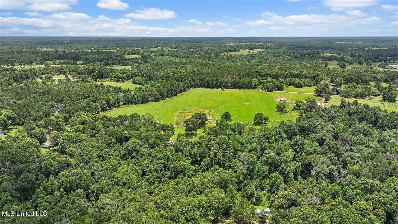 James Boyakin Barnett Road Magee, MS 39111 - Photo 5 of 39 05-James Boyakin Barnett Rd