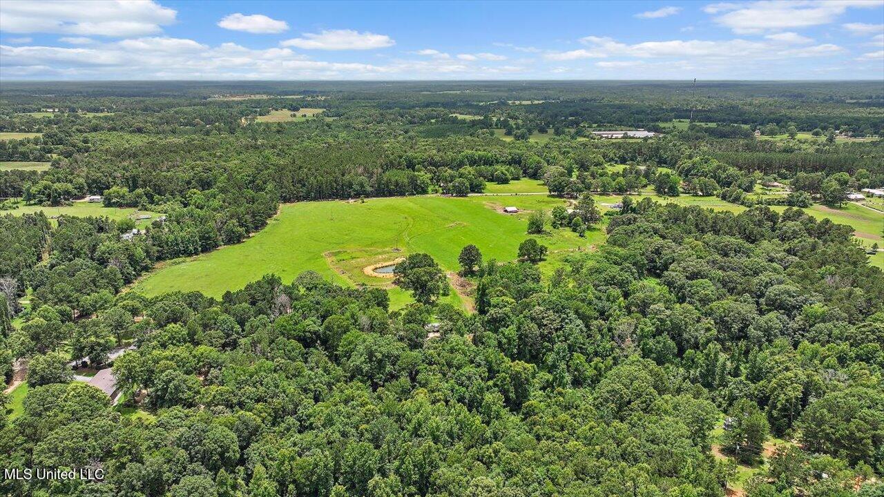 James Boyakin Barnett Road Magee, MS 39111 - Photo 6 of 39 06-James Boyakin Barnett Rd