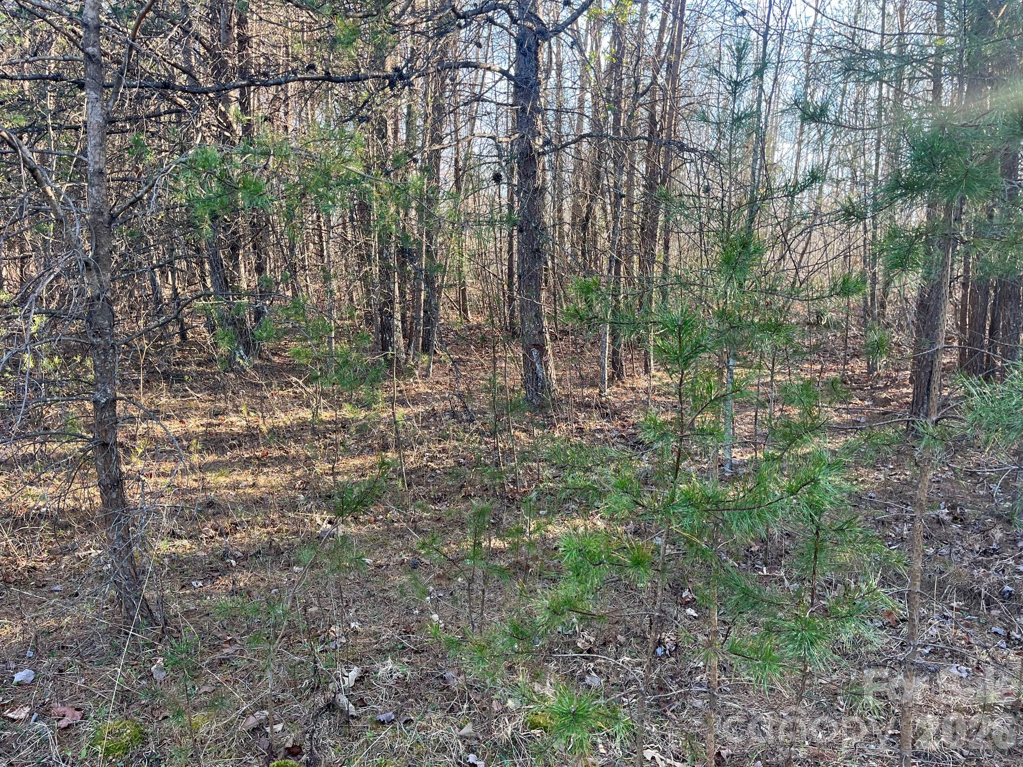 Tbd Southern Way Nebo, NC 28761 - Photo 8 of 22