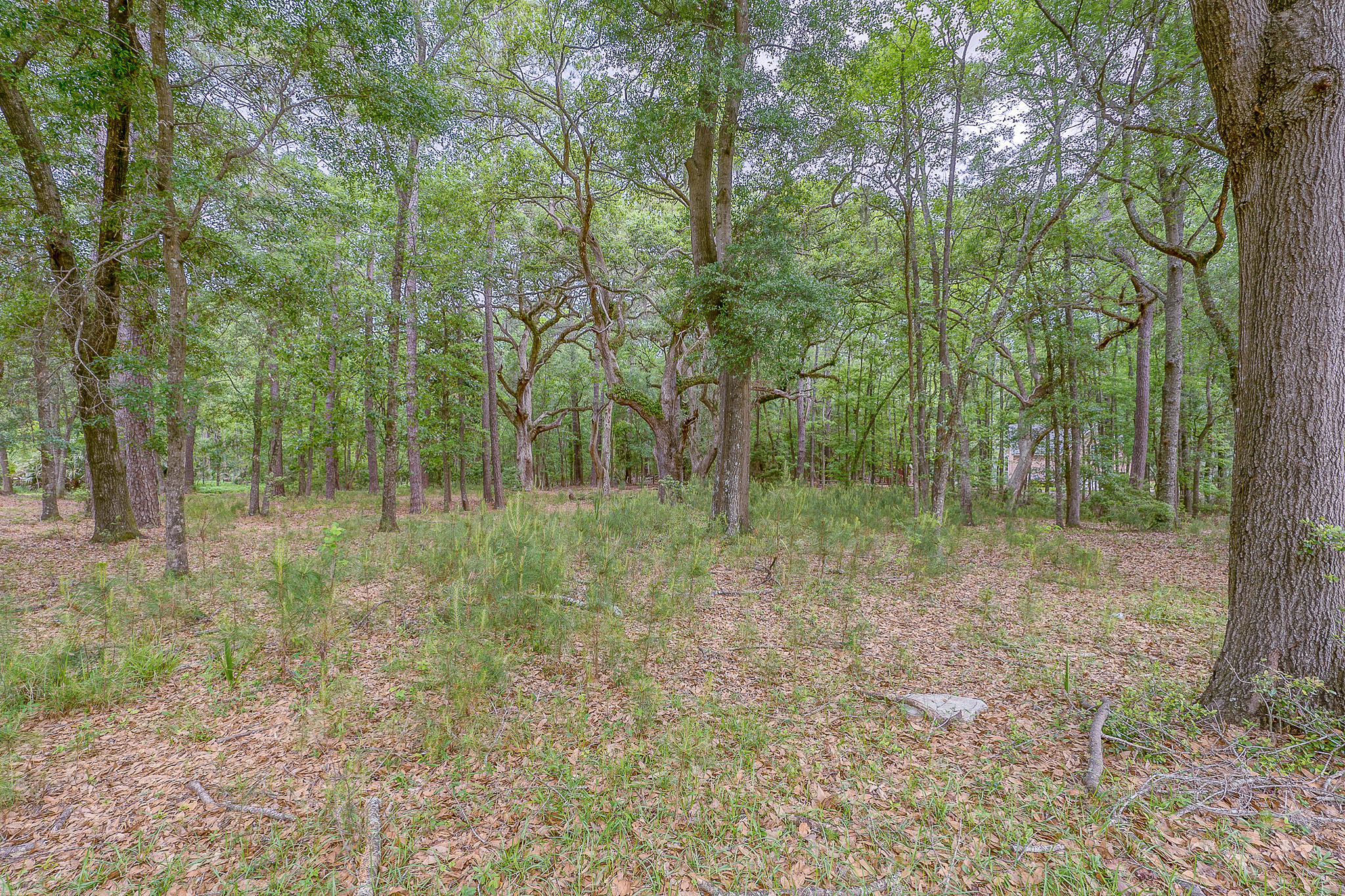 101 Walling Grove Road Beaufort, SC 29907 - Photo 14 of 20 17