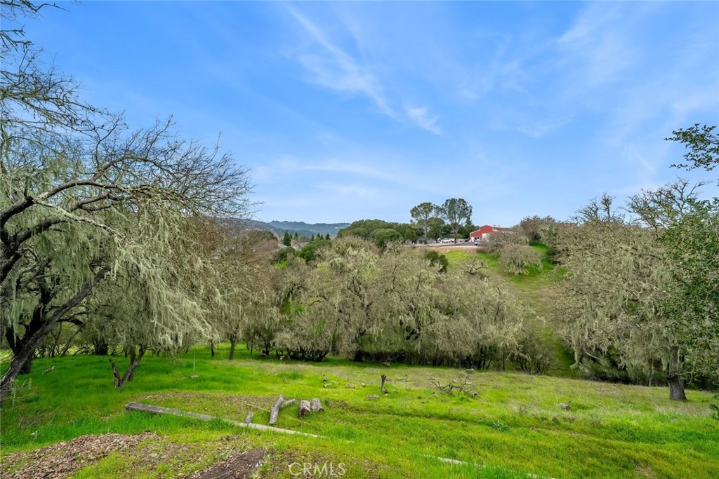 4620 Obispo Road Atascadero, CA 93422 - Photo 40 of 50 a view of a grassy field with trees