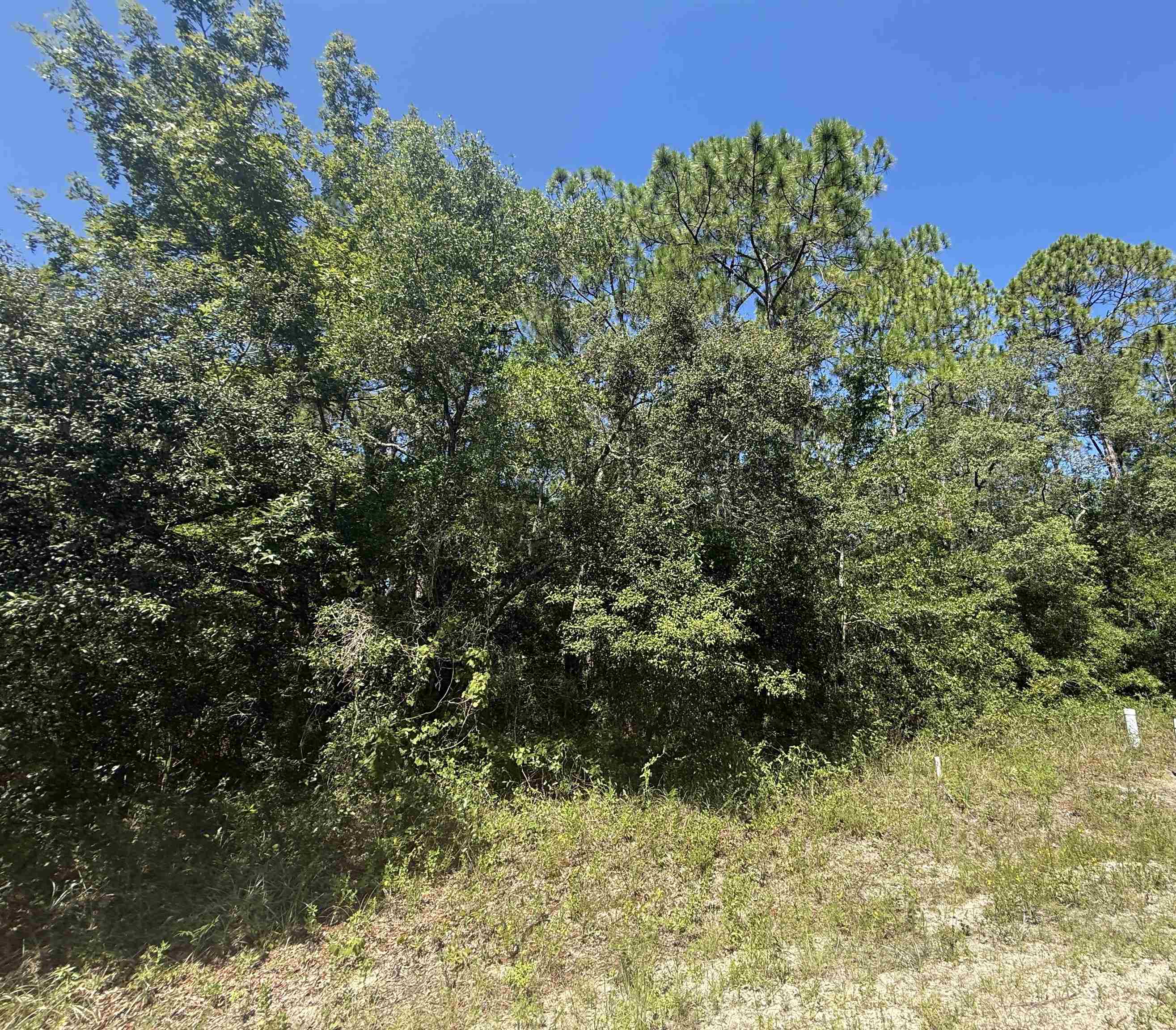 2 Ramsey Way Panacea, FL 32346 - Photo 3 of 9