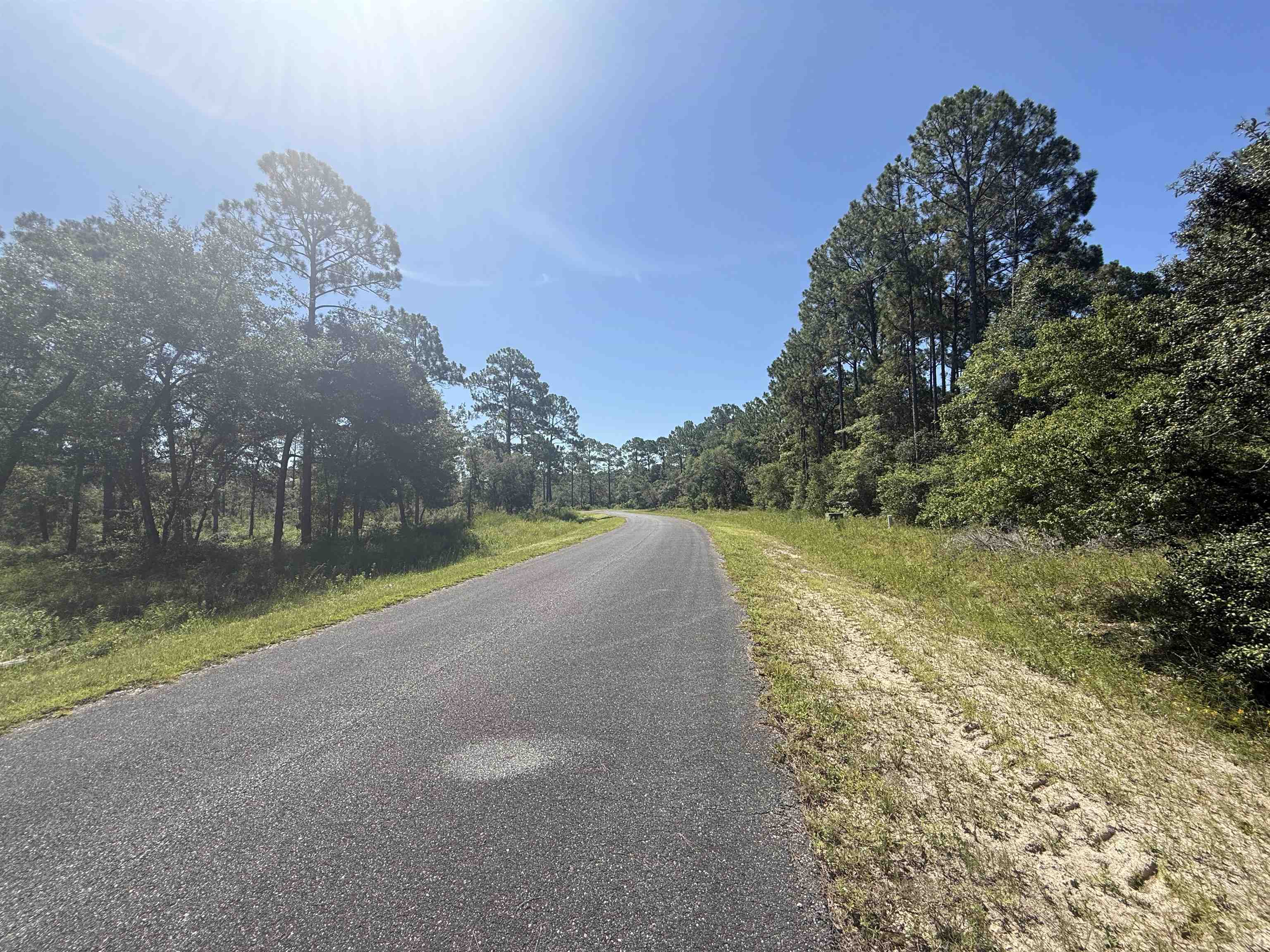 2 Ramsey Way Panacea, FL 32346 - Photo 4 of 9