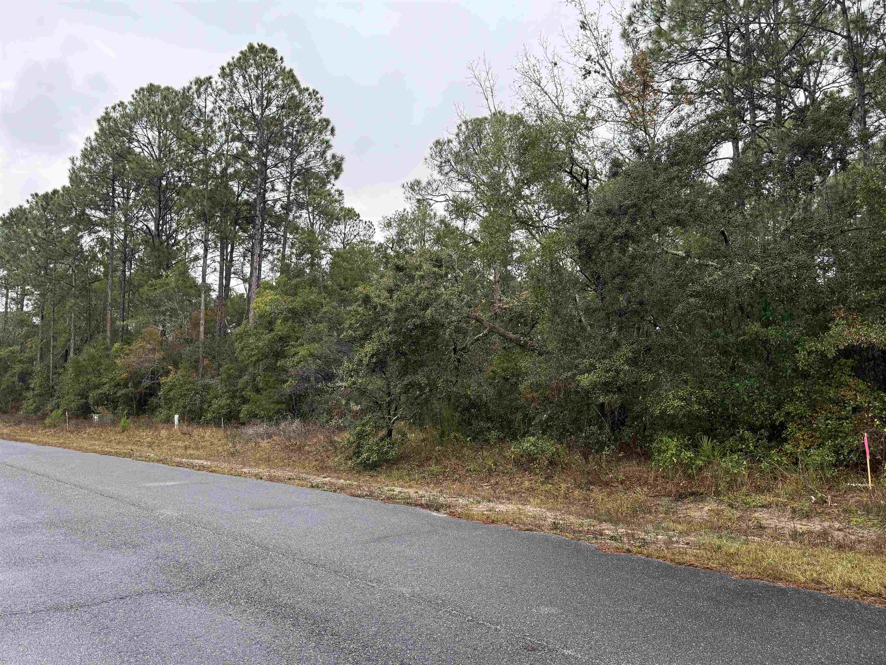 2 Ramsey Way Panacea, FL 32346 - Photo 6 of 9