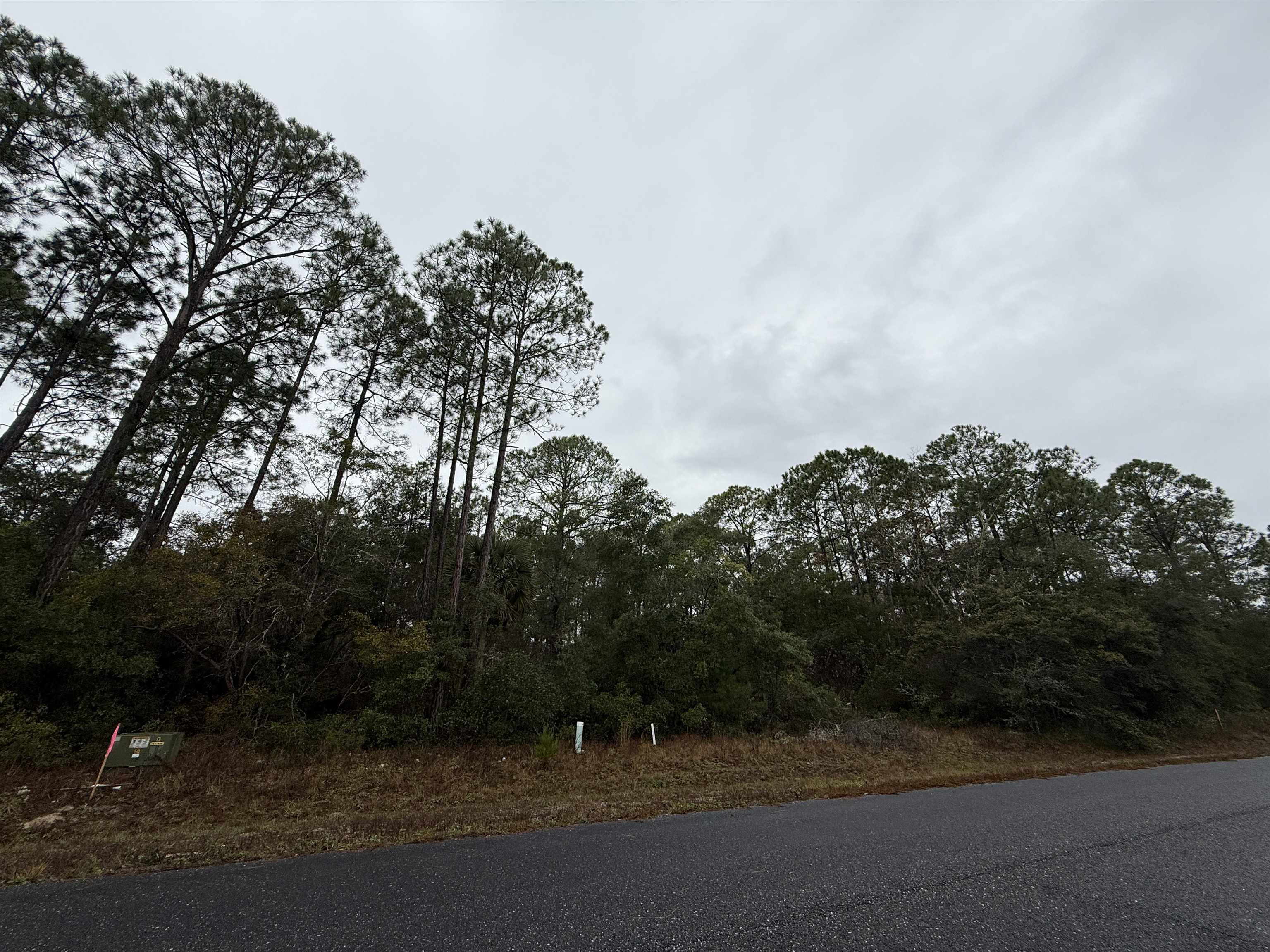 2 Ramsey Way Panacea, FL 32346 - Photo 7 of 9