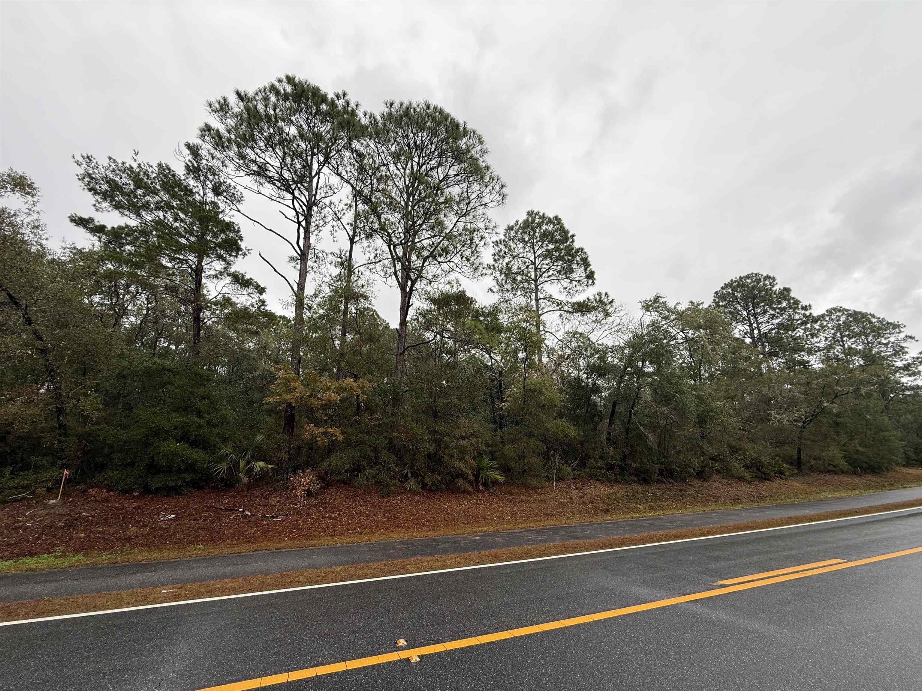 2 Ramsey Way Panacea, FL 32346 - Photo 8 of 9