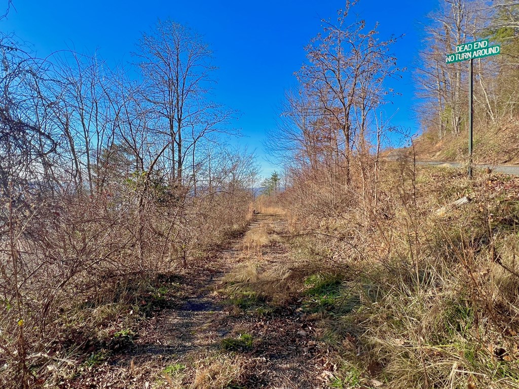 Lot 34 Carlin Road Hiawassee, GA 30546 - Photo 12 of 28