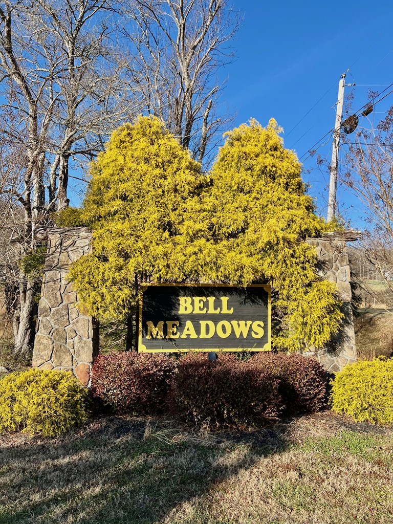 Lot 34 Carlin Road Hiawassee, GA 30546 - Photo 13 of 28