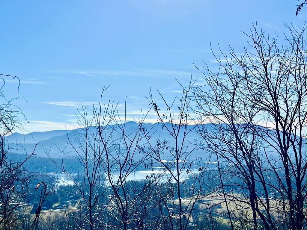 Lot 34 Carlin Road Hiawassee, GA 30546 - Photo 14 of 28