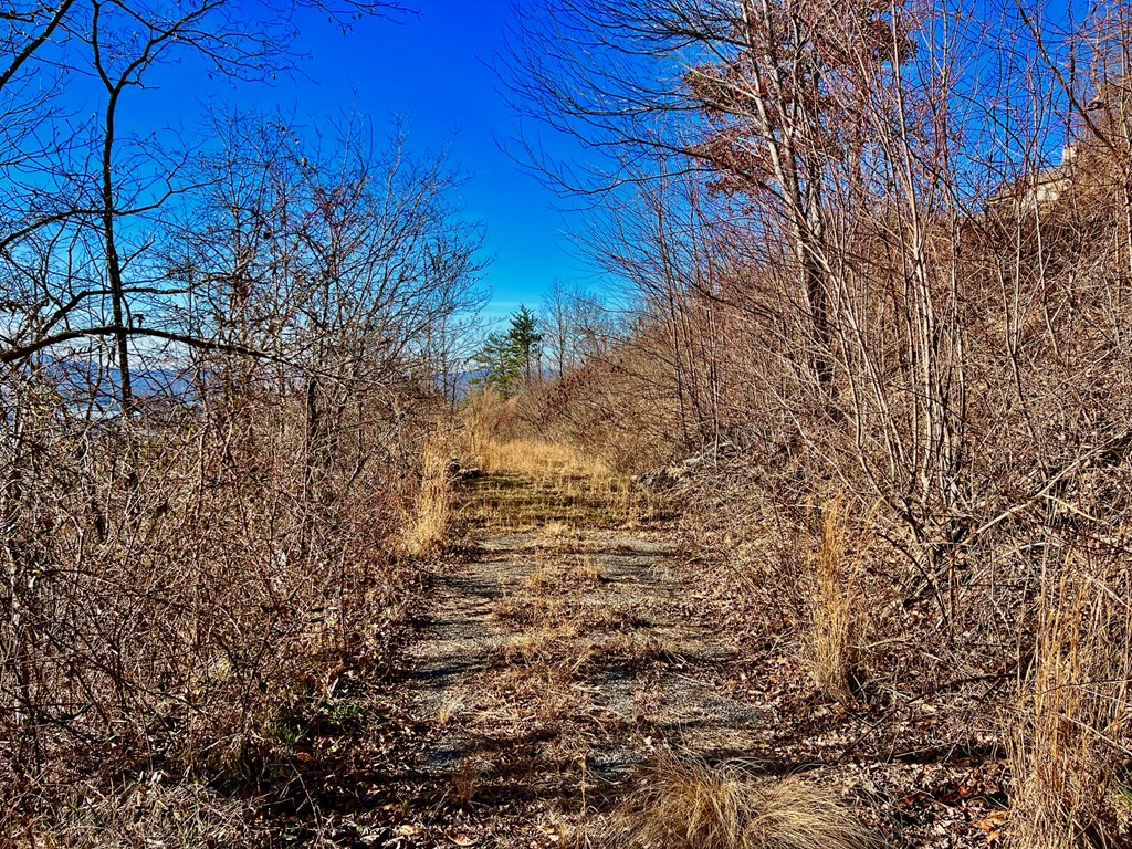 Lot 34 Carlin Road Hiawassee, GA 30546 - Photo 15 of 28