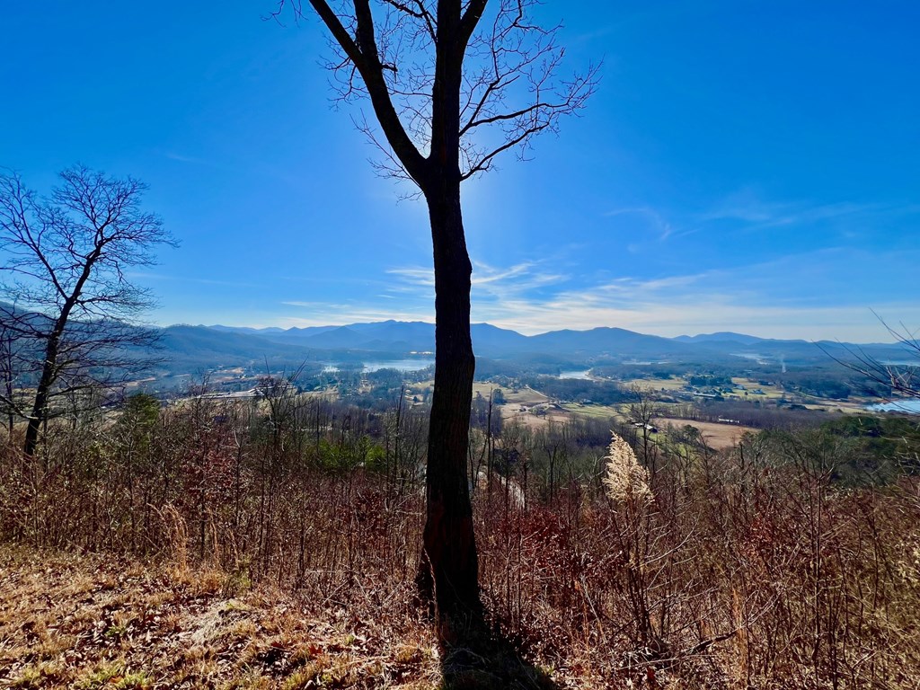 Lot 34 Carlin Road Hiawassee, GA 30546 - Photo 18 of 28