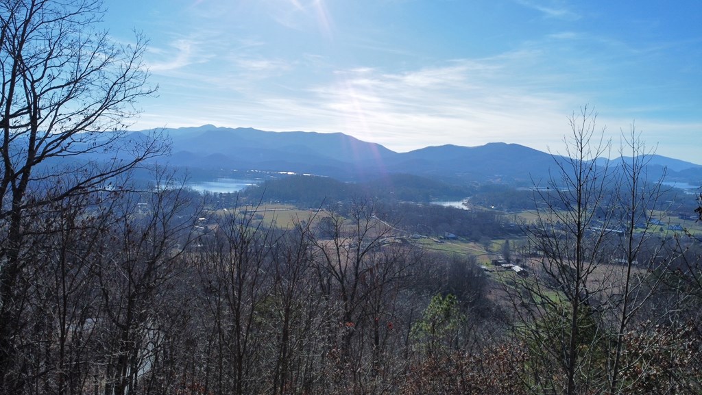 Lot 34 Carlin Road Hiawassee, GA 30546 - Photo 19 of 28