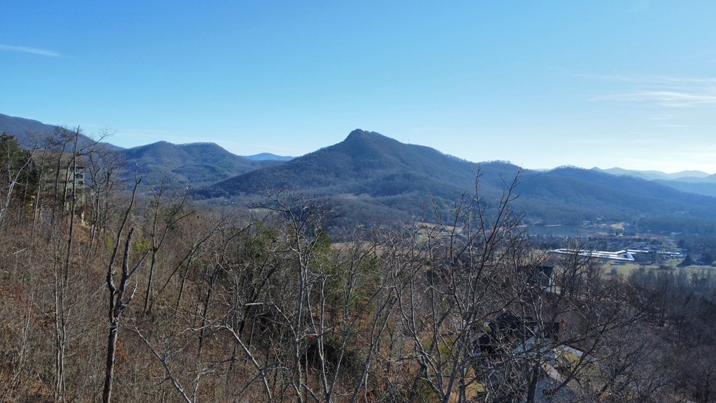Lot 34 Carlin Road Hiawassee, GA 30546 - Photo 22 of 28