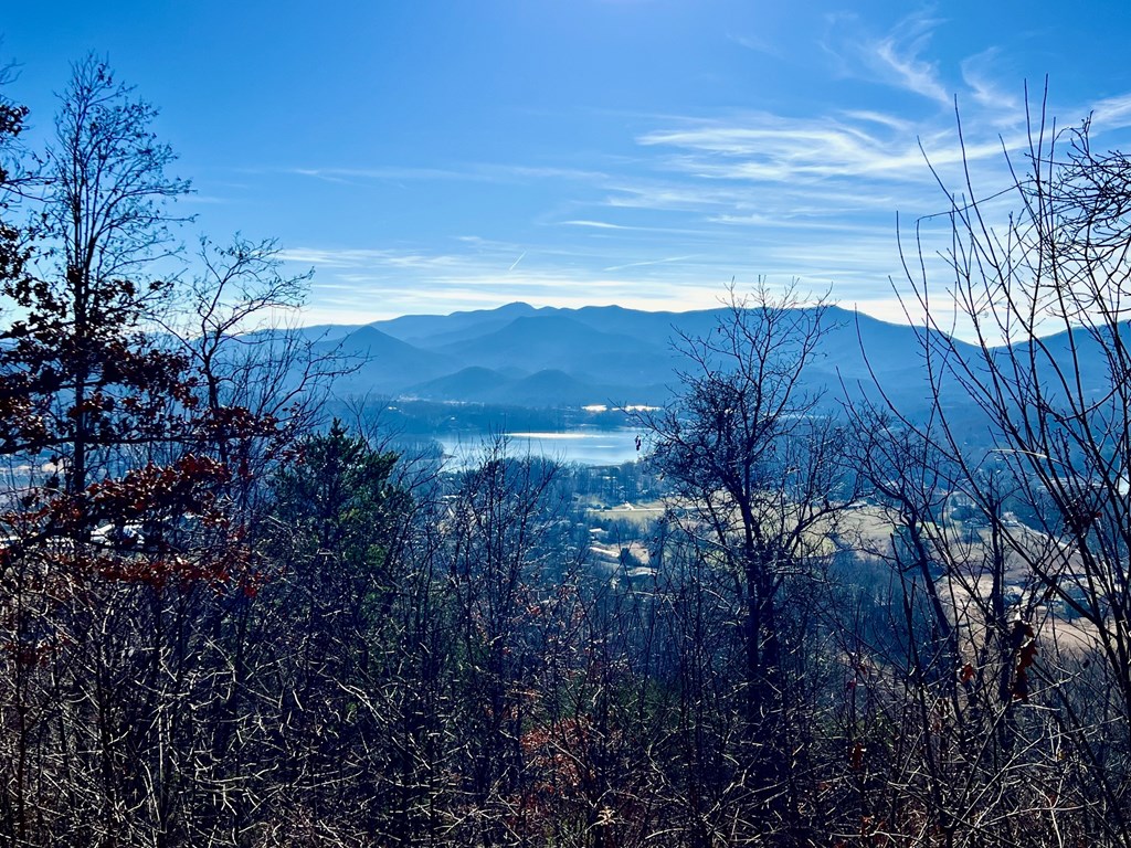 Lot 34 Carlin Road Hiawassee, GA 30546 - Photo 23 of 28