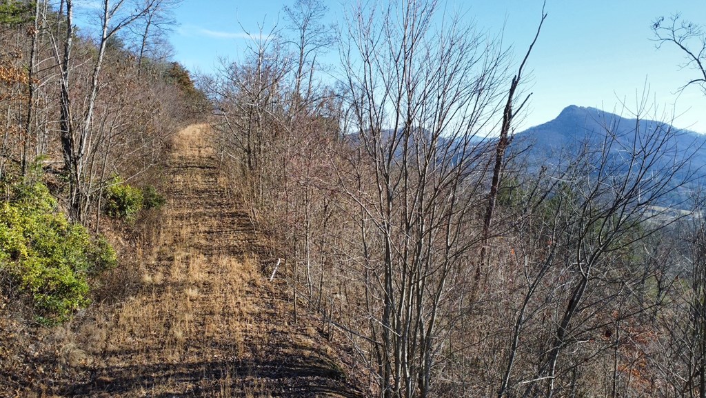 Lot 34 Carlin Road Hiawassee, GA 30546 - Photo 24 of 28