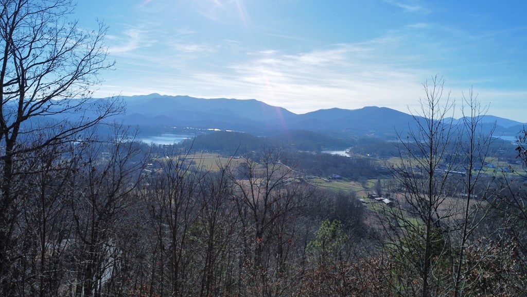 Lot 34 Carlin Road Hiawassee, GA 30546 - Photo 25 of 28