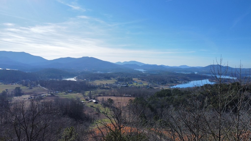 Lot 34 Carlin Road Hiawassee, GA 30546 - Photo 3 of 28