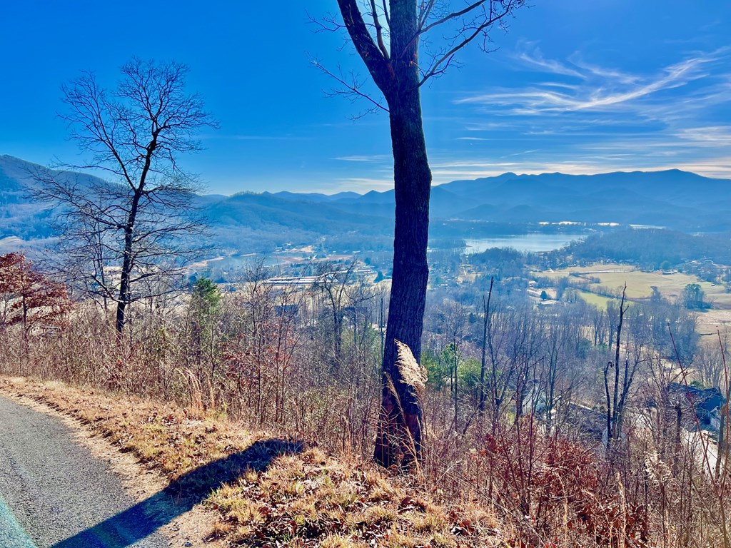 Lot 34 Carlin Road Hiawassee, GA 30546 - Photo 4 of 28