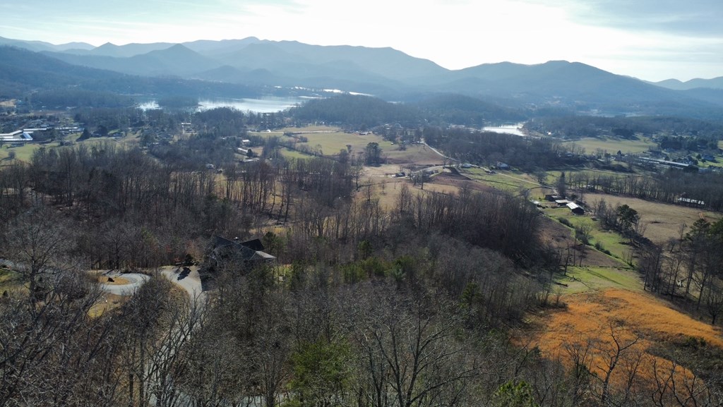 Lot 34 Carlin Road Hiawassee, GA 30546 - Photo 5 of 28