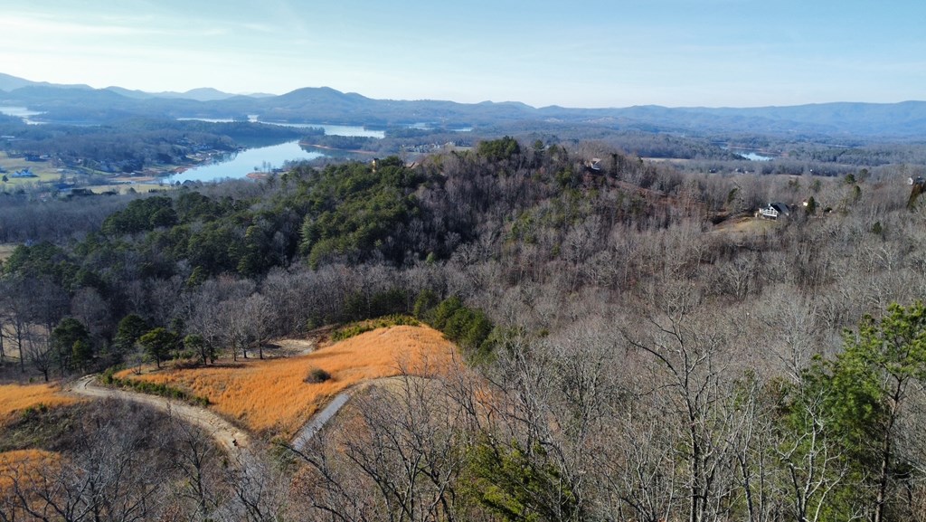 Lot 34 Carlin Road Hiawassee, GA 30546 - Photo 6 of 28