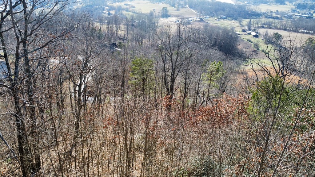 Lot 34 Carlin Road Hiawassee, GA 30546 - Photo 7 of 28