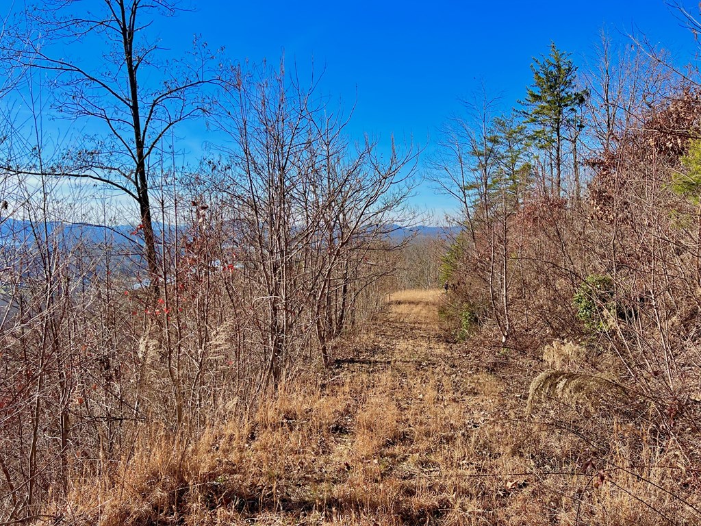 Lot 34 Carlin Road Hiawassee, GA 30546 - Photo 8 of 28
