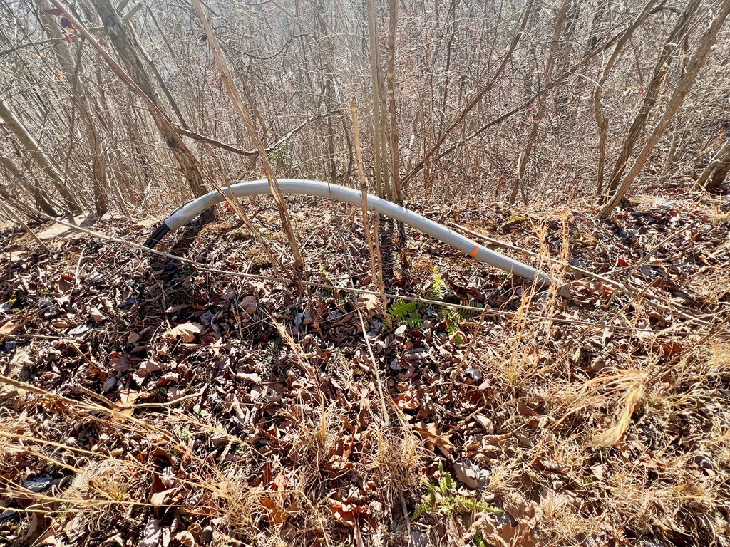 Lot 34 Carlin Road Hiawassee, GA 30546 - Photo 9 of 28