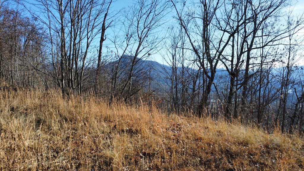 Lot 34 Carlin Road Hiawassee, GA 30546 - Photo 10 of 28