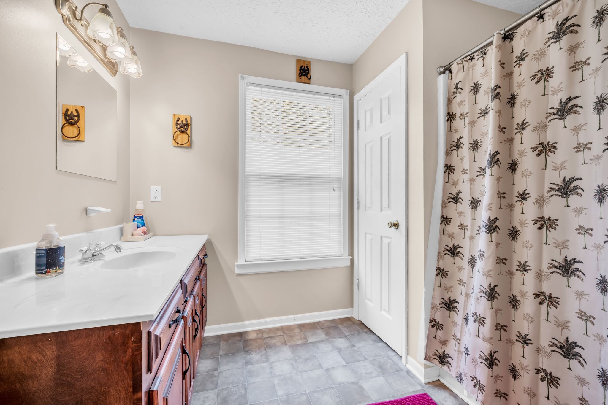 2025 Dunn Chapel Road Cumberland Furnace, TN 37051 - Photo 23 of 37 a bathroom with a sink a mirror and a shower