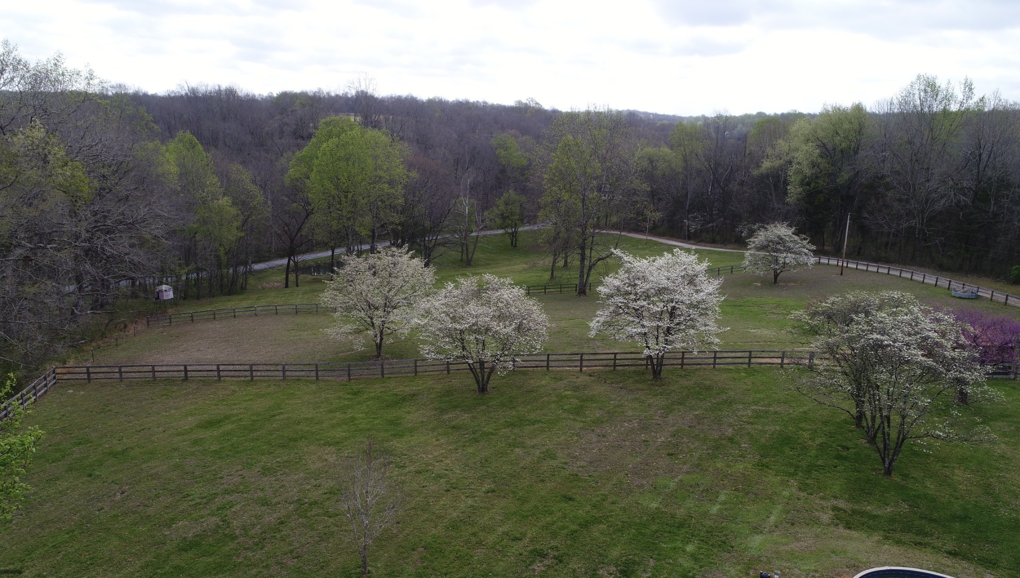 2025 Dunn Chapel Road Cumberland Furnace, TN 37051 - Photo 33 of 37 a view of a water pond with green field