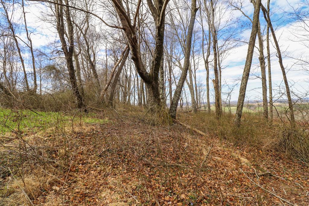 Tbd Tbd Keno Road, Unit 1 Laurel Fork, VA 24352 - Photo 8 of 20 Gallery Image 8